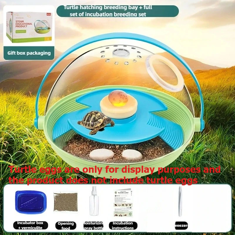 Caja para incubar huevos de tortuga, almacén de acuicultura, caja de cría de observación portátil, cabina pequeña para niños, huevos no incluidos - imagen 4