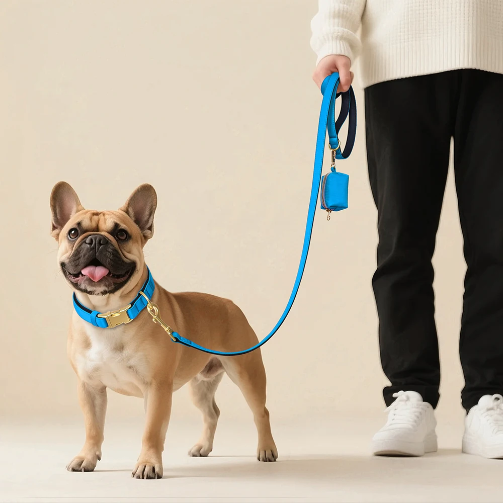Collar impermeable para perro con correa y bolsa de paseo - imagen 2