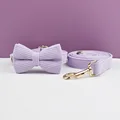 Bow Collar Leash10