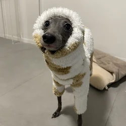 Monos de invierno con oso para perros: Whippet y galgo italiano