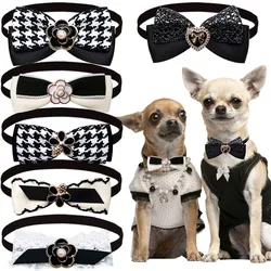 Lazo de pelo para perros y gatos pequeños – Accesorio fiesta