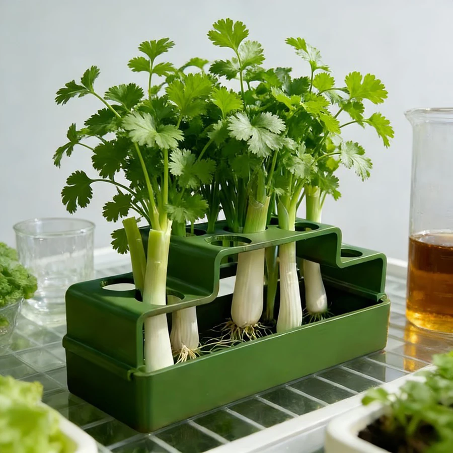Cultivo de hierba para gatos con sistema hidropónico reutilizable - imagen 2