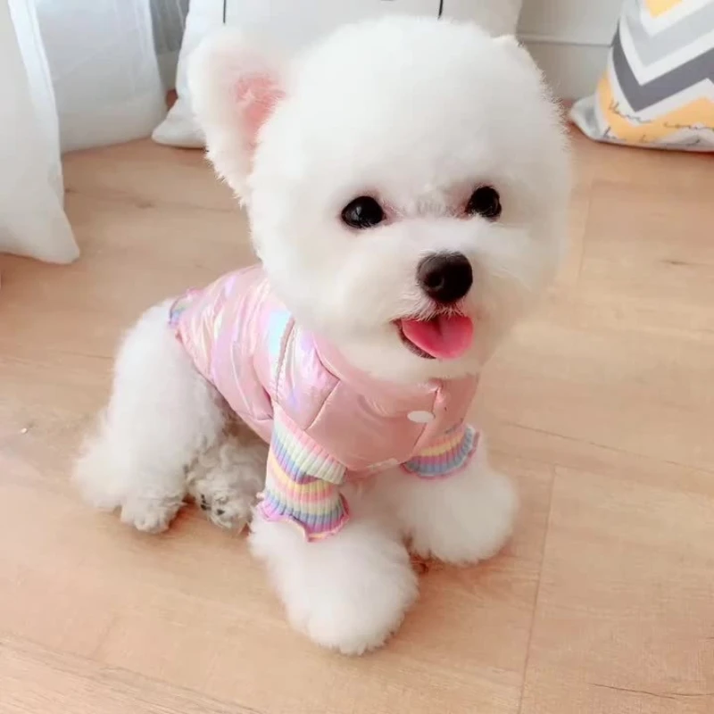 Chaqueta impermeable para perros, chaleco cálido y brillante de invierno para perros pequeños como Bulldog Francés Chihuahua, ropa para cachorros - imagen 5