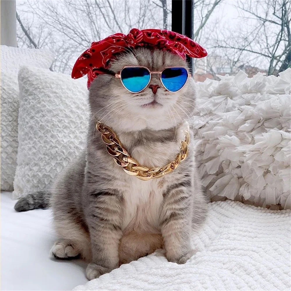 Sphynx-gafas de sol con reflejo de cristal para mascotas, accesorios bonitos para perros pequeños, Gotas, Katten, Kedi - imagen 5