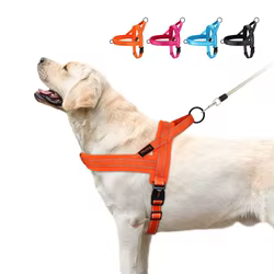 Arnés reflectante para perro Bulldog francés – Ajustable sin tirones
