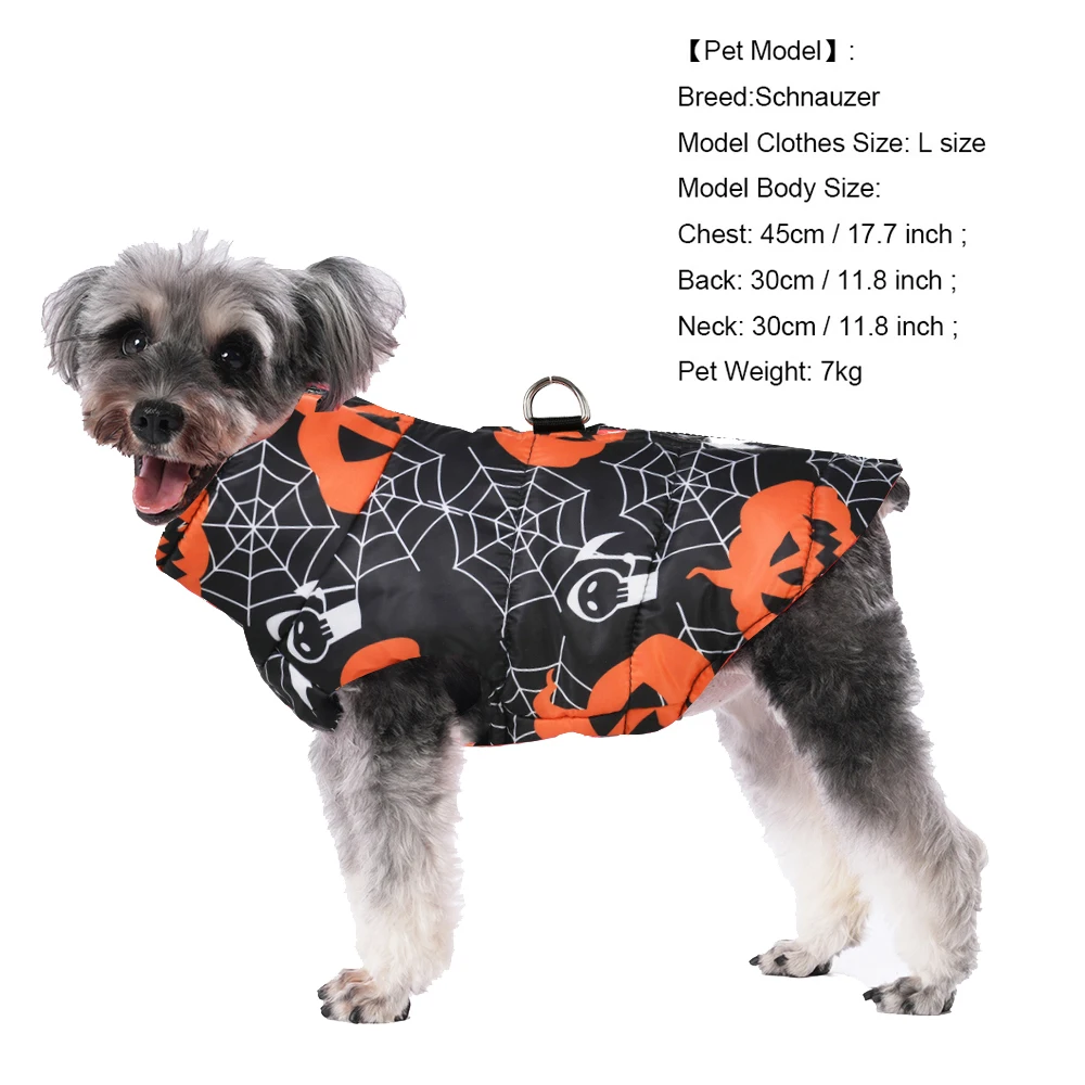 Un perro pequeño con un disfraz de araña