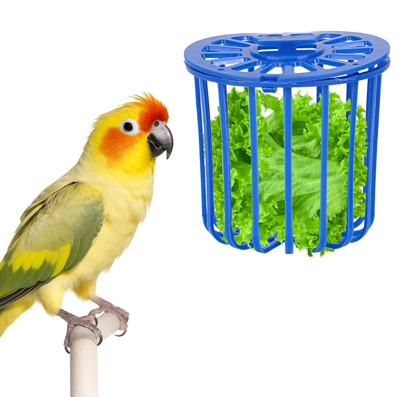 Jaula alimentadora para loros y pájaros, estante para frutas y verduras, accesorios, cesta colgante, contenedor, juguete, suministros para pájaros y mascotas, 1-4 Uds.