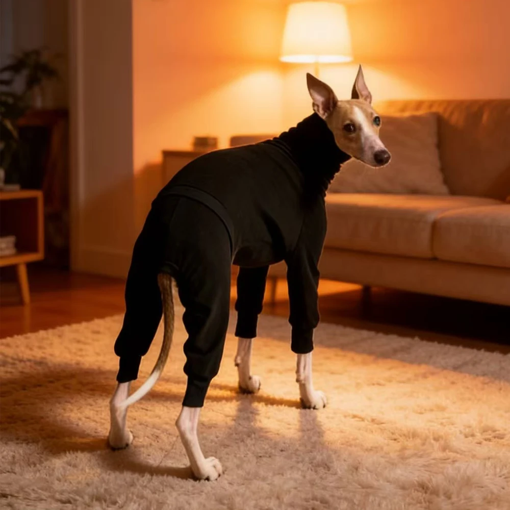 Abrigo de algodón para galgo italiano y Whippet – Cuello alto primavera y otoño - imagen 4