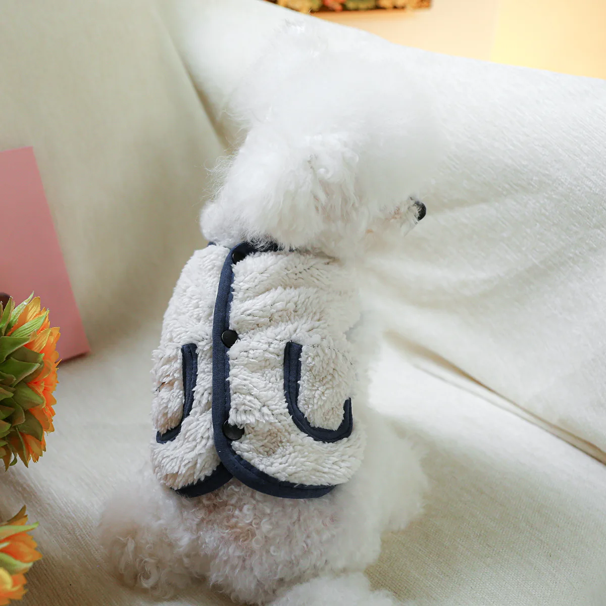 Chaleco de lana de cordero para mascotas, chaqueta envuelta de Color contrastante, ropa para perros y gatos, chaleco de terciopelo cálido, ropa para cachorros, ropa para mascotas - imagen 3