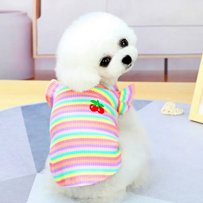Chaleco de encaje a rayas para cachorros, vestido de verano para perros, tirantes, ropa para perros, camiseta de Chihuahua Bichon Yorkie, falda bonita para gatos, disfraz para perros - imagen 4