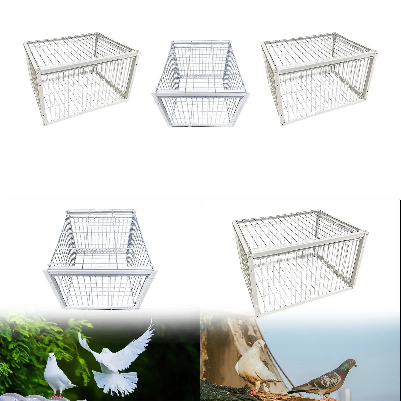 Pigeon Bird Trap Cage Automatic Pigeon Collection for Chicken Sparrows Feral