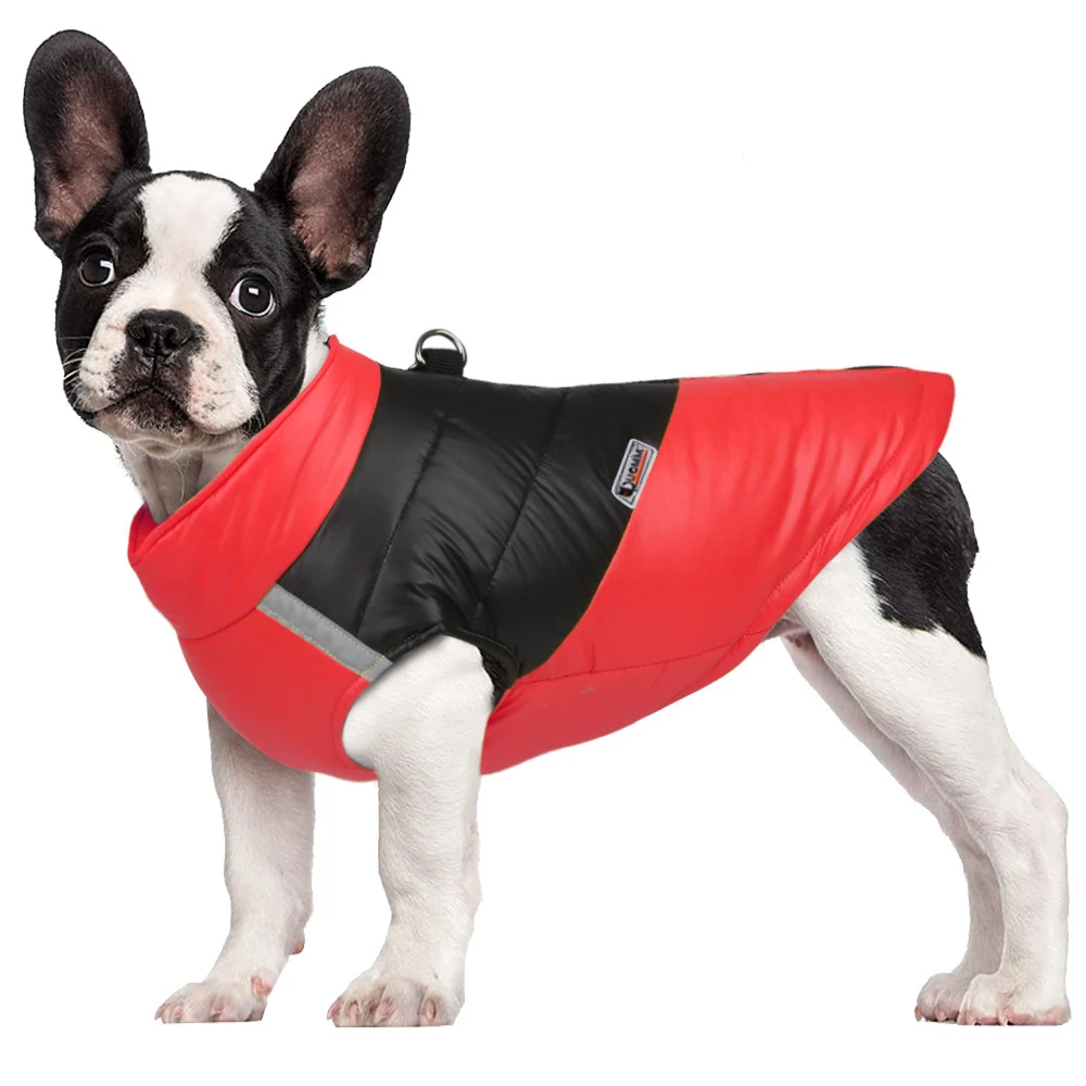 Empaquetado de la chaqueta impermeable para perros