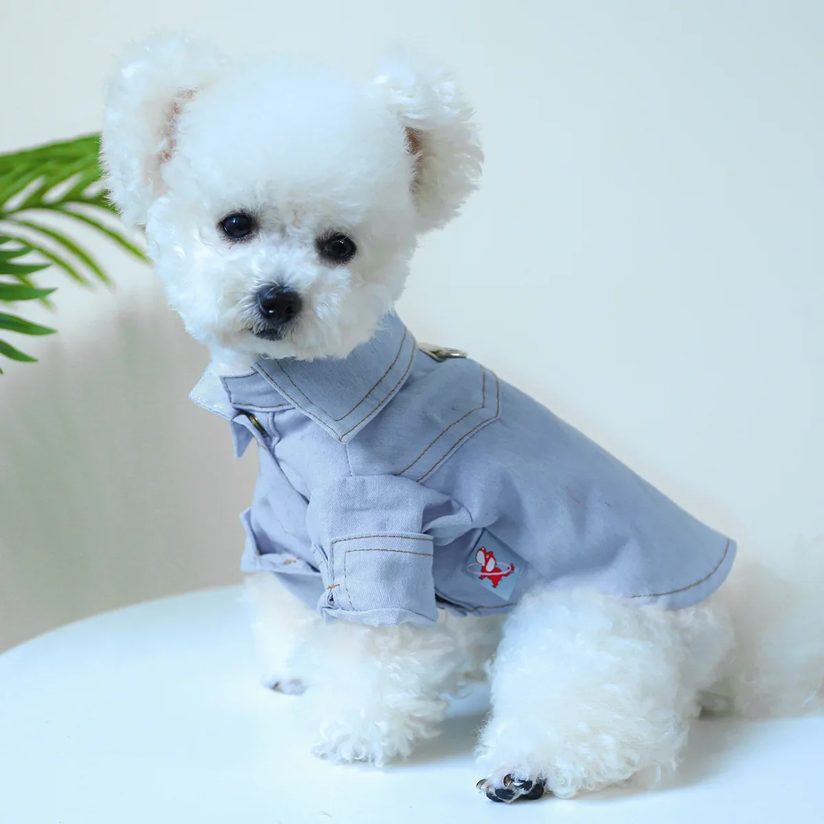 Nueva ropa vaquera para perros Ins, puede tirar, camisa vaquera con solapa para gatos, ropa de diseñador para perros, ropa cálida con protector solar para mascotas, ropa para gatos - imagen 5