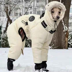 Abrigo impermeable para Greyhound – Protección frío invierno exterior