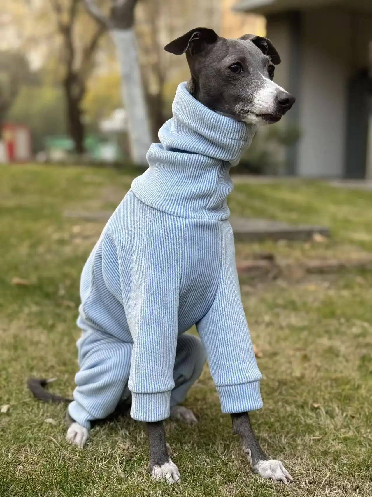 Chaleco de forro polar para perros - Mono cálido para Galgo Italiano - imagen 5