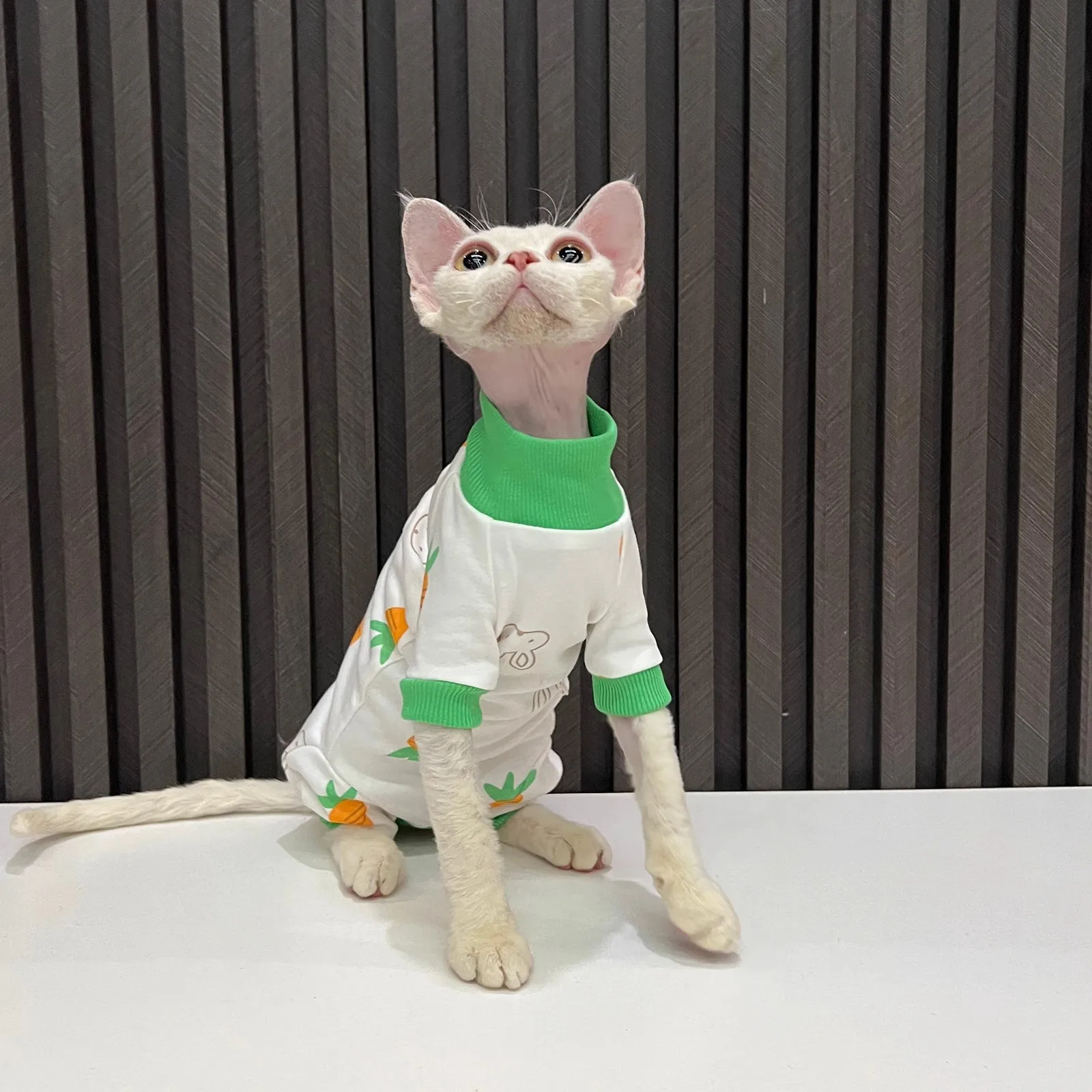 Primavera otoño ropa de gato para gatos estampado de cereza Sphynx mono de gato sin pelo cuello alto cobertura completa pijamas de gato gatito Onesies - imagen 5