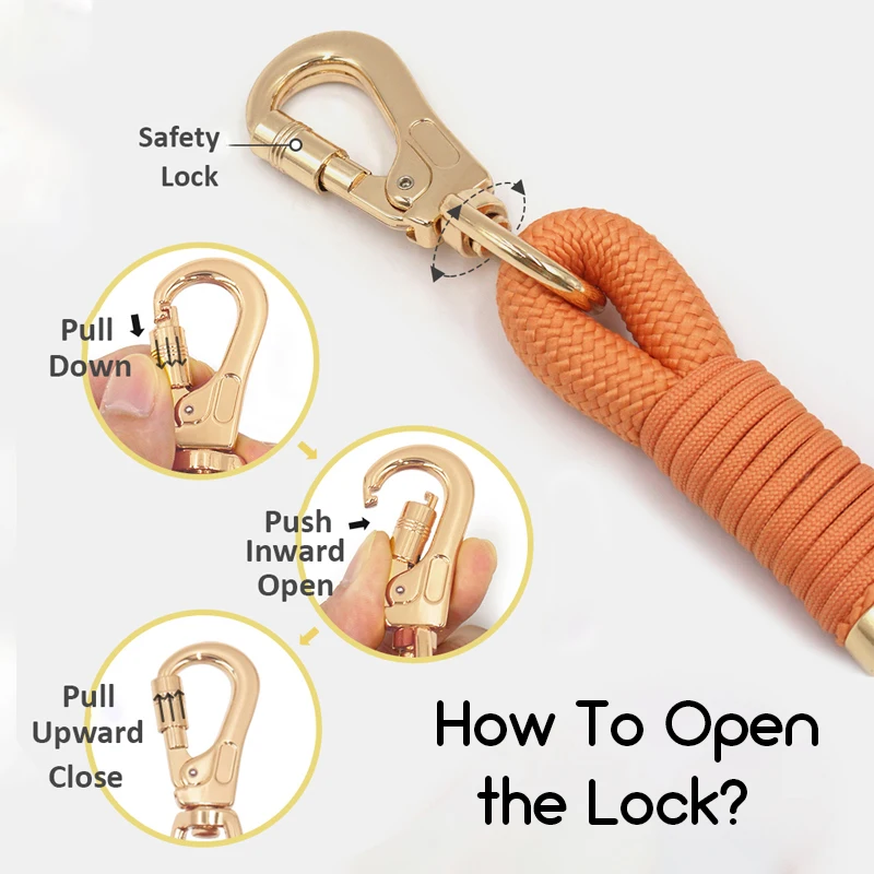 Collar de perro de terciopelo naranja Premium, conjunto de Collar y correa para perro personalizado con nombre personalizado, 3 uds., hebilla de Metal, Collar para caminar para mascotas - imagen 4