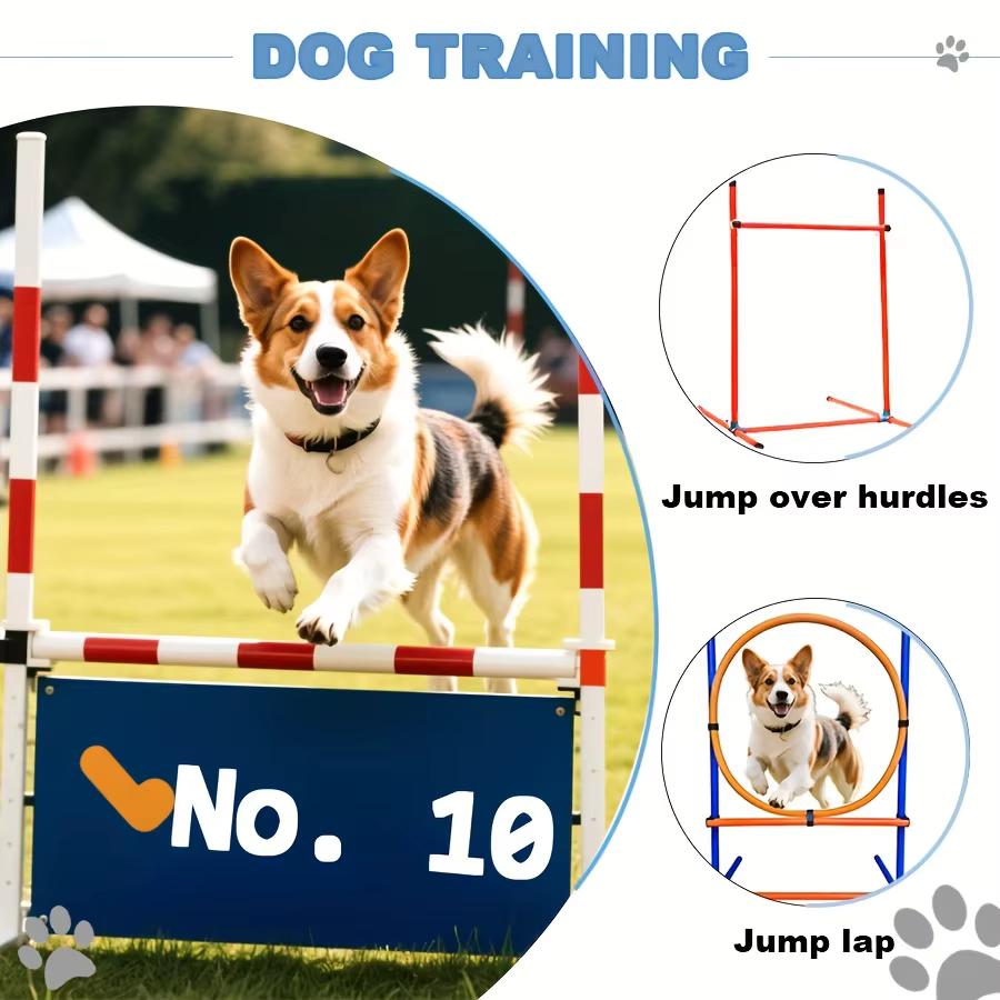 Kit agility perros: anillo de salto y obstáculos - imagen 5