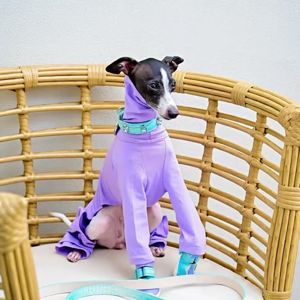 Mono 100% de algodón para galgo italiano, camiseta de Color puro con cuello alto y manga larga de 4 patas para perros Whippet, primavera y otoño - imagen 4