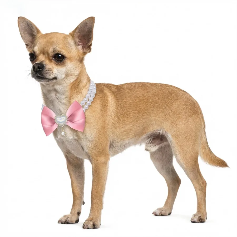 Collar perlas lazo rosa corazón cristal para gatos y perros pequeños - imagen 5