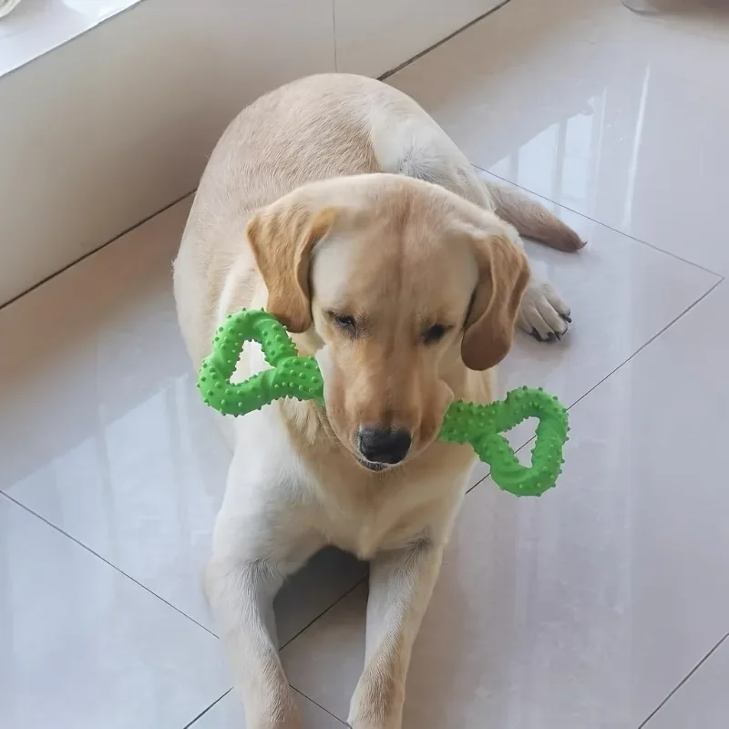 Juguete para masticar hueso de perro TPR duradero, juguete para masticar hueso de perro, juguete interactivo chirriante resistente para masticar agresivo, 1 ud. - imagen 4