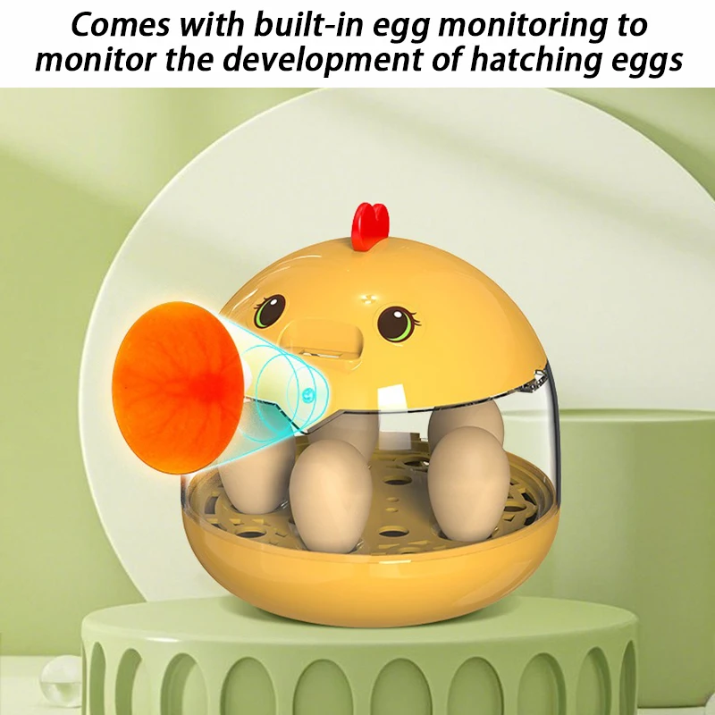 Incubadora con temperatura constante para huevos de gallina – Observación y cria - imagen 3