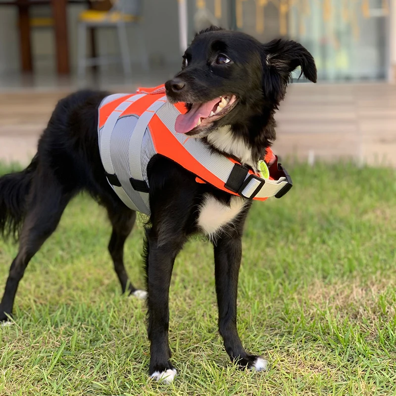 Natación Bulldog Francés chaleco salvavidas para mascotas para perros pequeños y medianos traje de baño de verano para cachorros Pug Corgi Labrador mascotas ropa - imagen 5