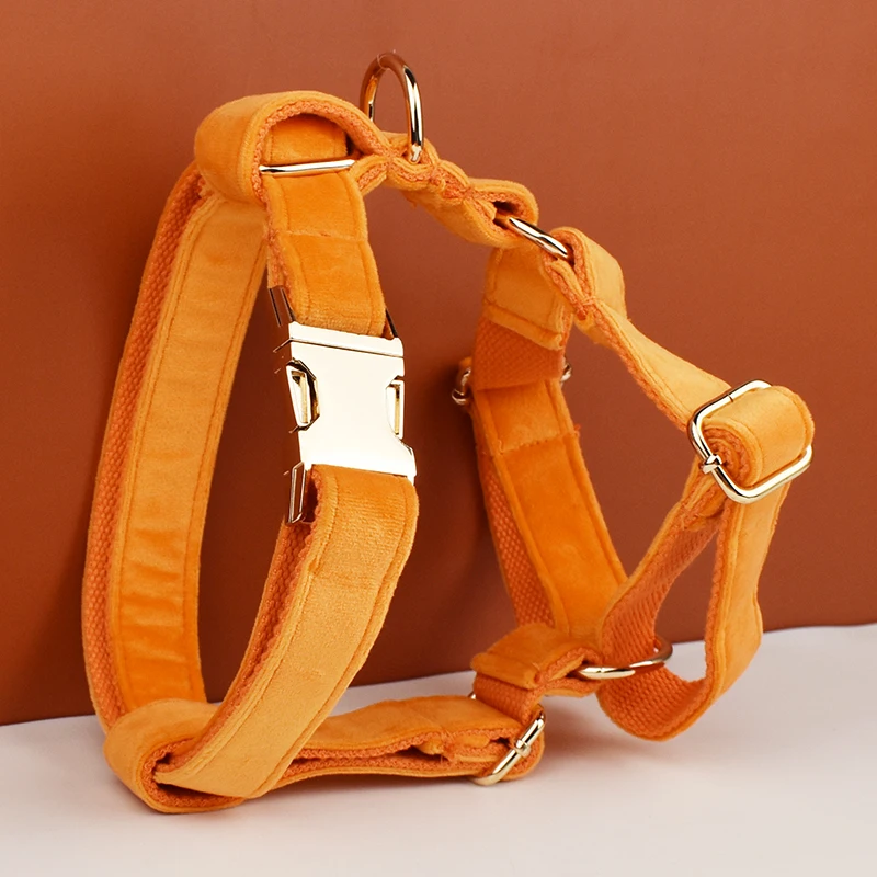 Conjunto de Collar y correa de terciopelo naranja para perros, placa de identificación grabada personalizada, suministros para mascotas, correa de terciopelo 41 - imagen 2