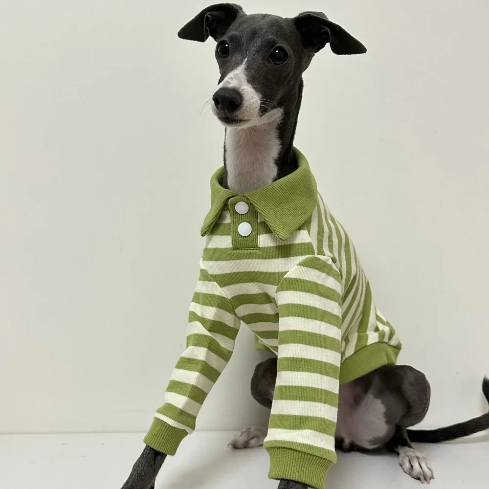 Camisa polo verde a rayas para perros Bedlington e Italian Greyhound - imagen 5