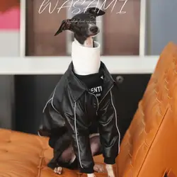 Abrigo de invierno impermeable para perros: galgo italiano y Whippet