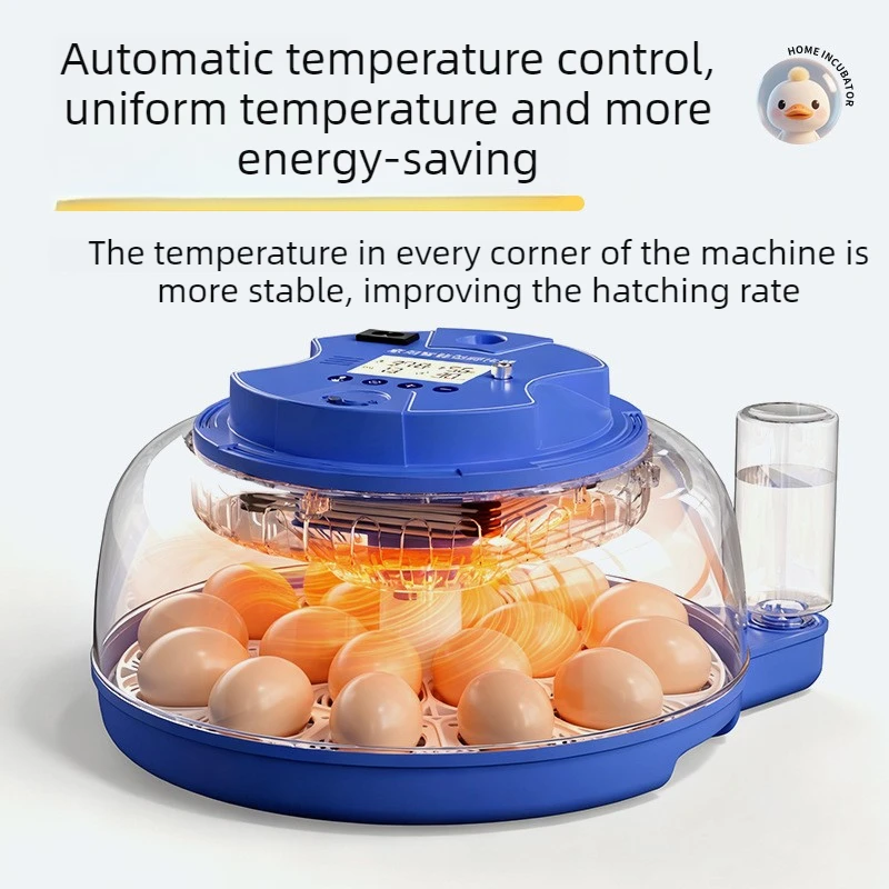Incubadora automática huevos con volteador – Compacta - imagen 2