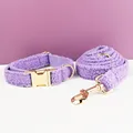 collar and leash set