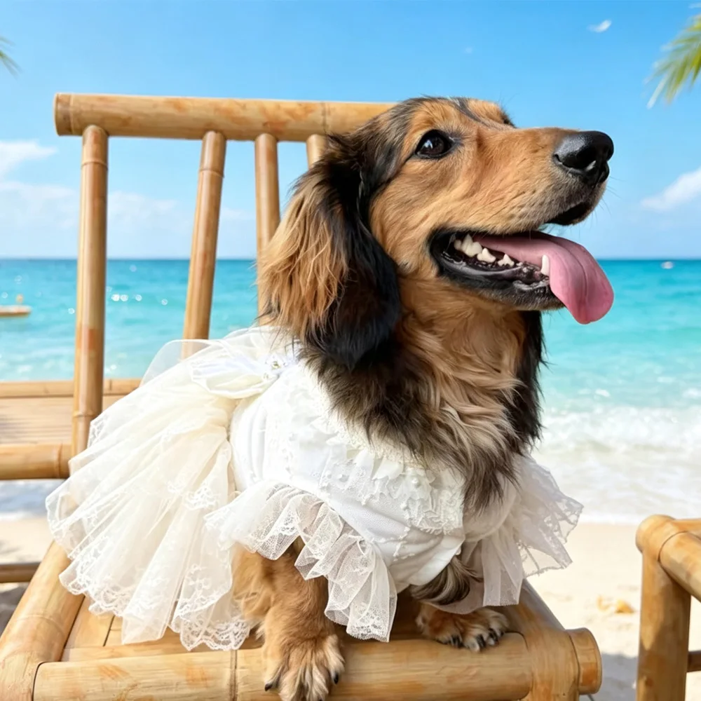 Vestido de verano para perro salchicha con encaje y lazo princesa - imagen 3