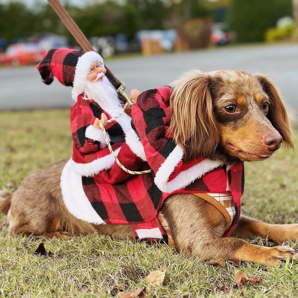 Divertidos ropa navideña para Cosplay de mascotas, para perros pequeños y medianos, capa cálida para perros y gatos con disfraz de Papá Noel para mascotas, regalo de Feliz Año Nuevo - imagen 3