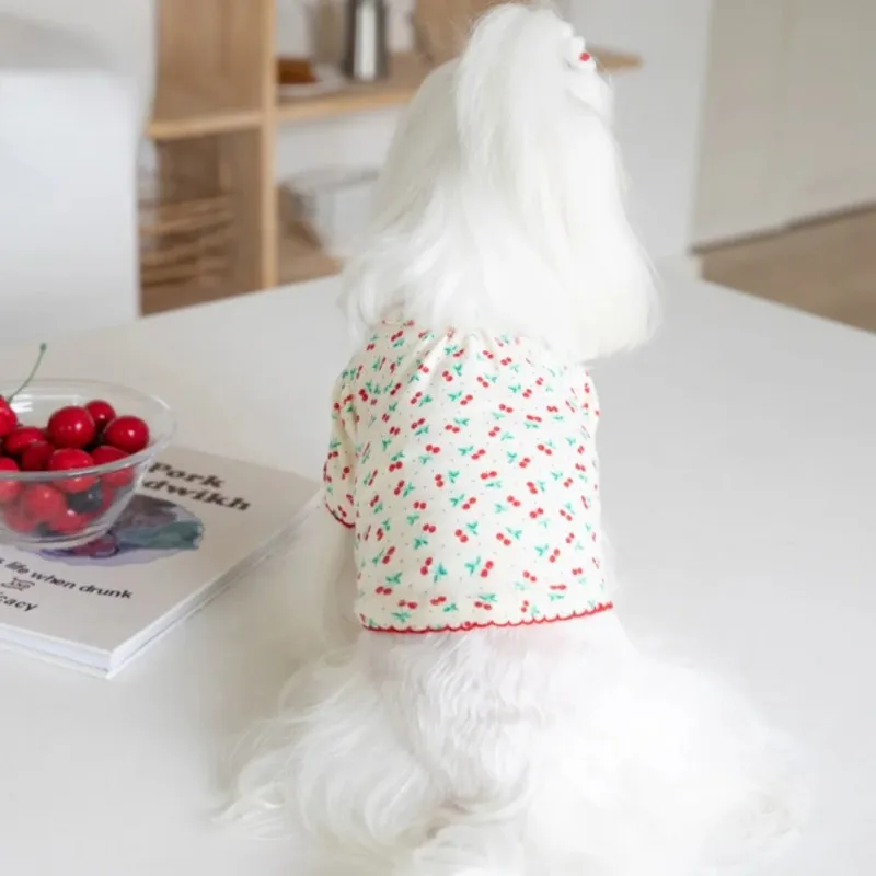 Lindo mascota invierno cereza Basecoat perro hogar lindo cereza ropa para mascotas camiseta para perros ropa para mascotas ropa de peluche ropa de diseñador para cachorros - imagen 3