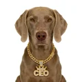 Gold CEO