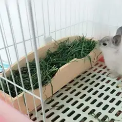 Alimentador de heno duradero para conejo y hámster – Montaje en jaula