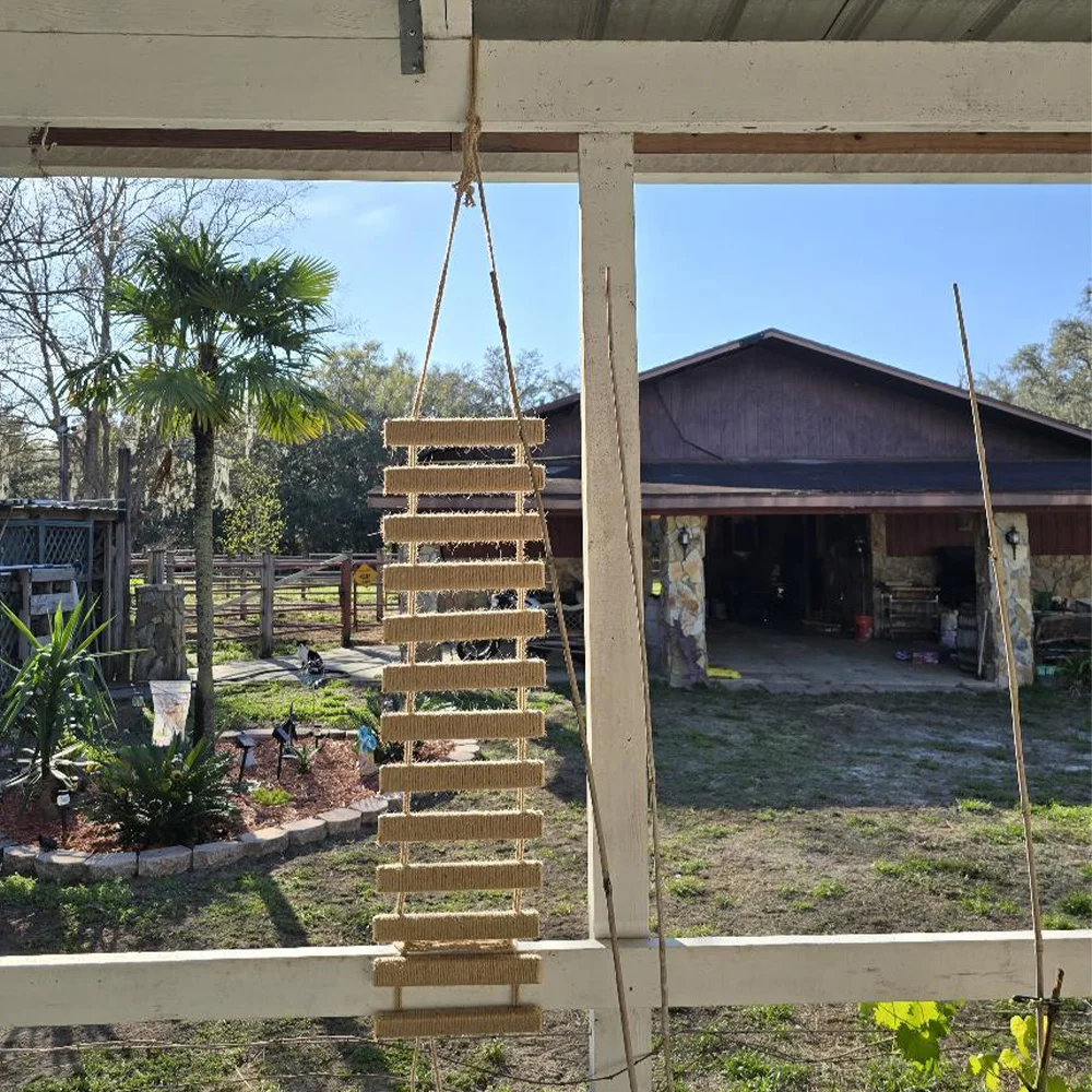 Centro de actividades para gatos montado en la pared, escalador de madera para gatos con puente y escalón de cuerda para rascar de Sisal para escalar gatitos y gatos adultos - imagen 4
