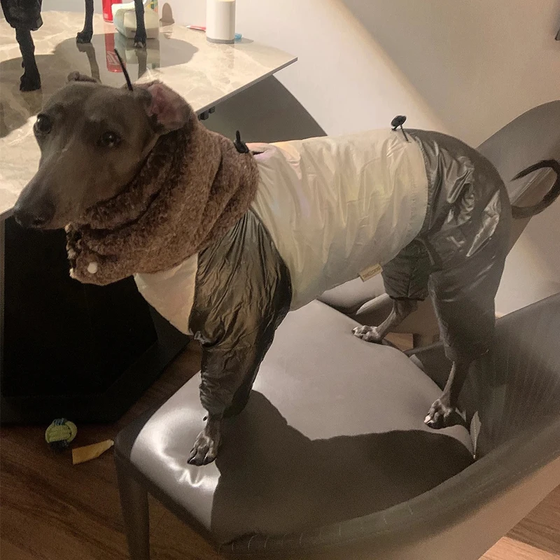 Moda Italia pequeño galgo chaqueta cálida de invierno Material de calefacción grueso cálido ropa Whippet abrigo a prueba de viento para perros - imagen 2
