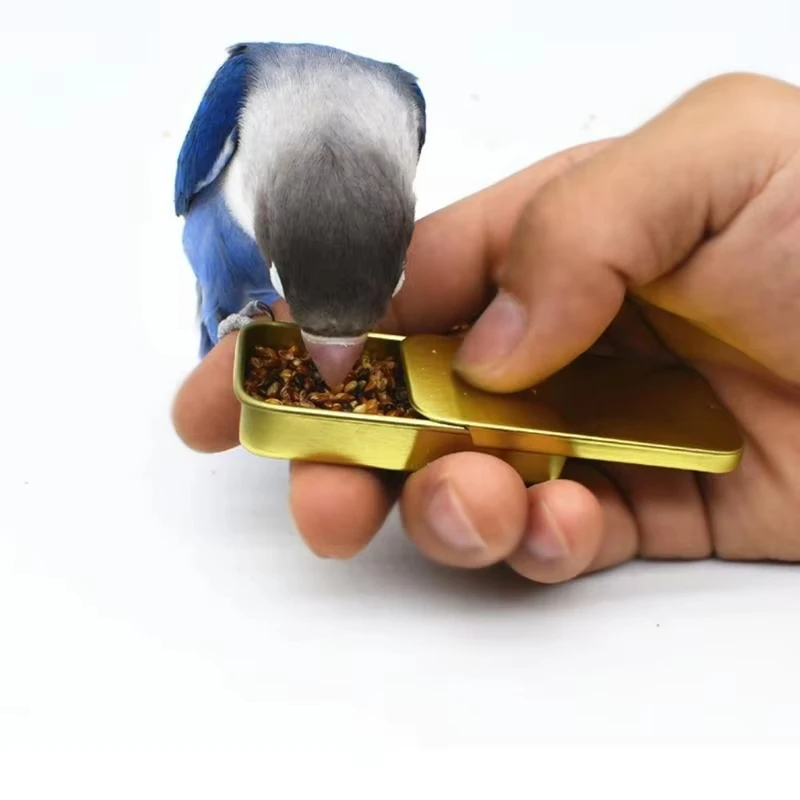 Tarro de comida para entrenamiento de aves, alimentador de mano para loros, juguete educativo interactivo, taza alimentadora - imagen 4