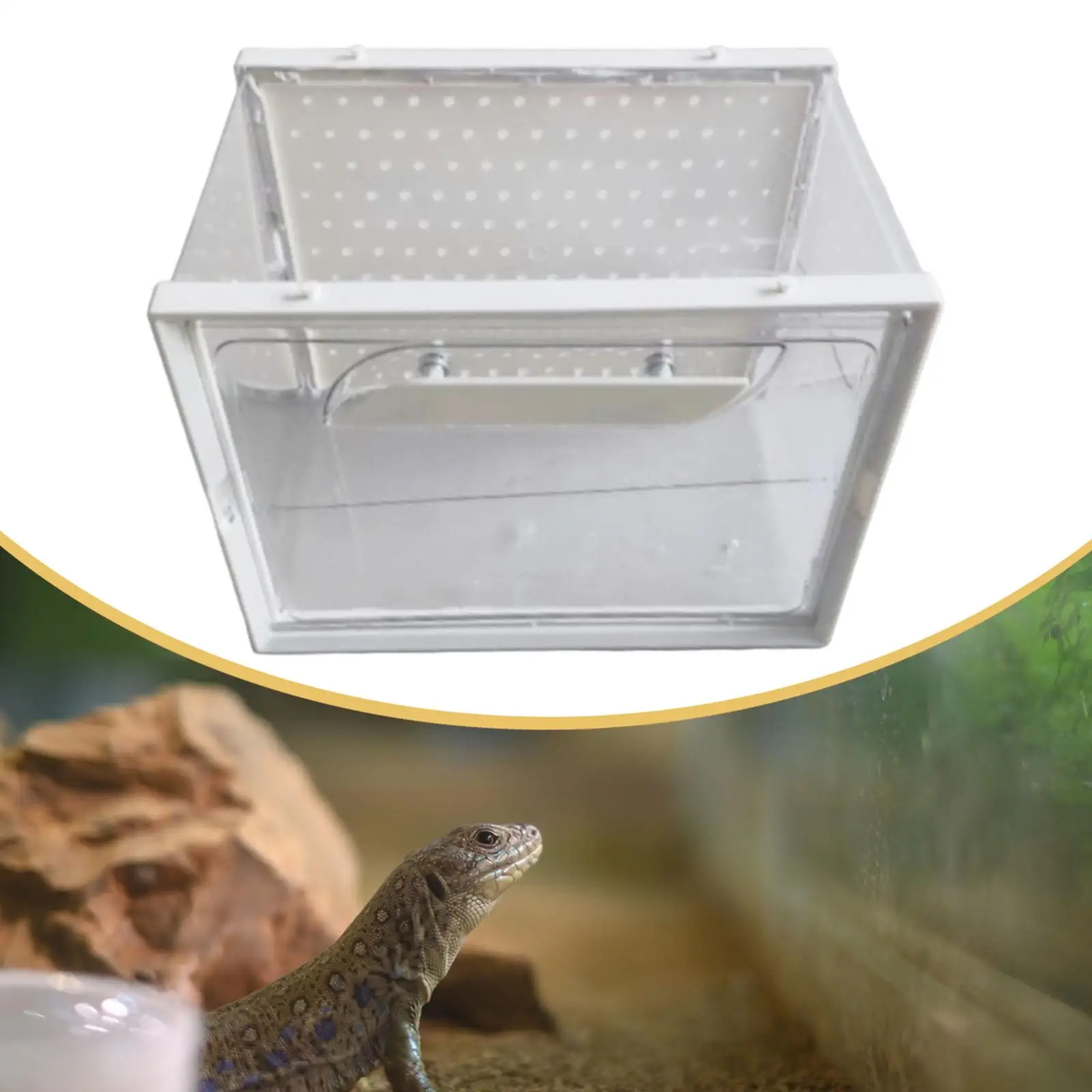 Reptile Terrarium Ventilation Reptile Breeding Box for Frog Crayfish Turtle Reptile Terrarium Ventilation Reptile Breeding Box for Frog Crayfish Turtle