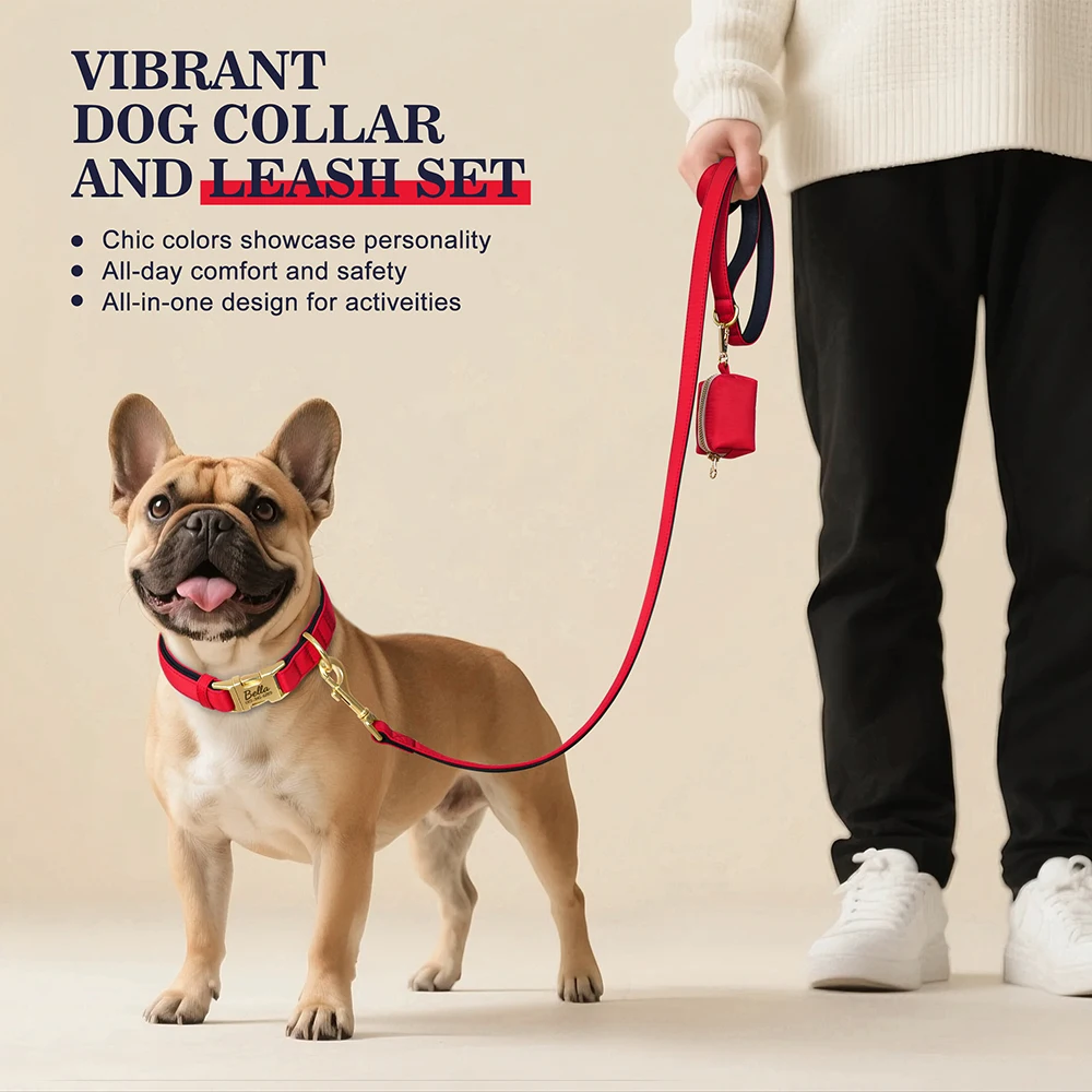 Collar de perro personalizado, conjunto de bolsa con correa, collares con etiqueta de identificación para mascotas, bolsa de golosinas para mascotas, bolsas de aperitivos para perros pequeños, medianos y grandes, 3 unids/set