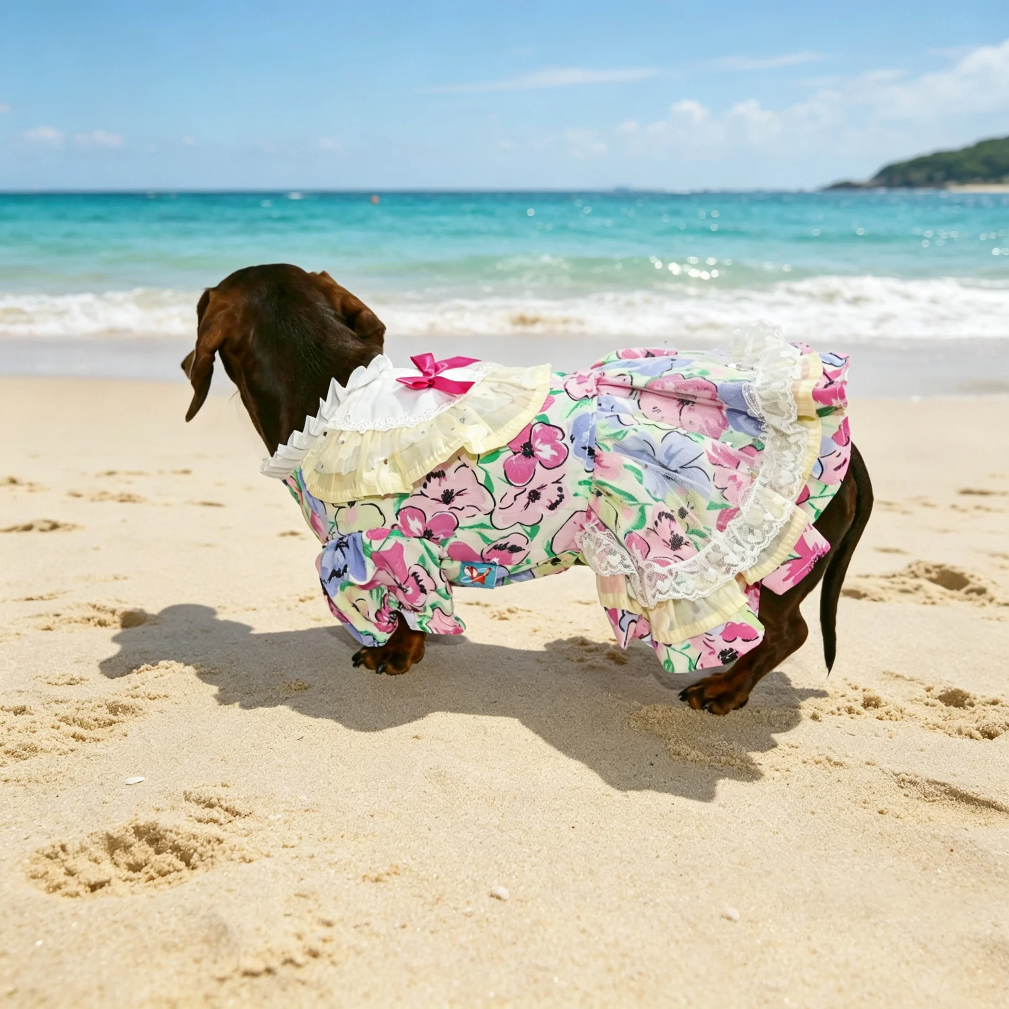 Conjunto de falda y sombrero para perro Teckel, primavera-verano - imagen 3