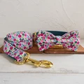 Bow Tie Collar Leash