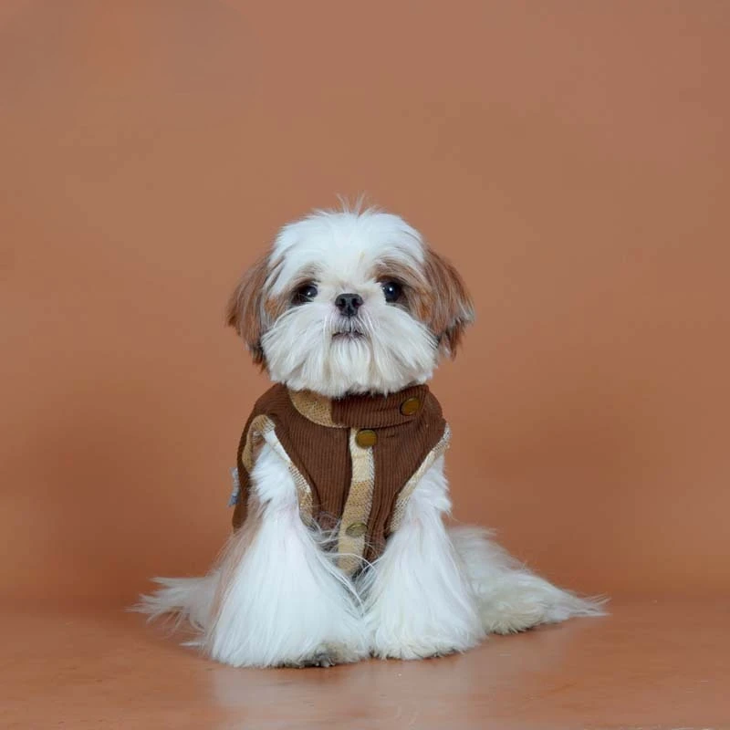 Chaleco a cuadros de cuello alto para otoño e invierno, chaleco vaquero de peluche con mecha bordada, ropa para cachorros - imagen 3