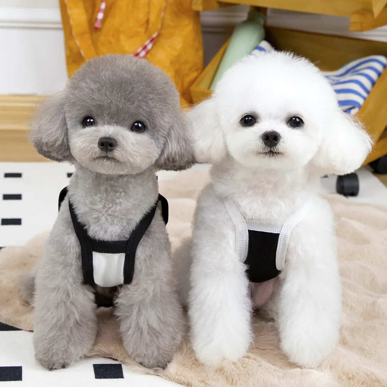 Chaleco con lazo para gatos – Camisola fina primavera verano - imagen 2