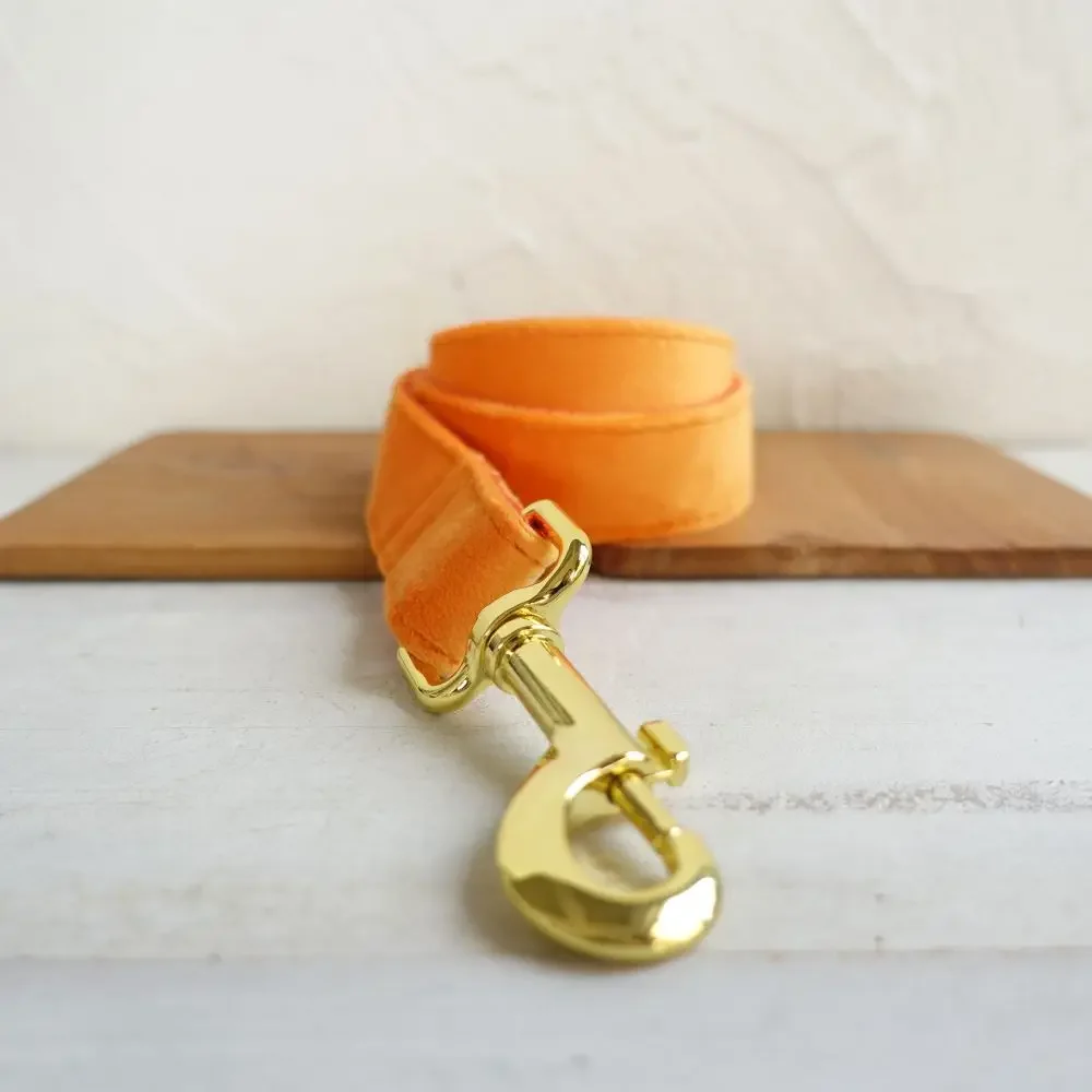 Collar de perro personalizado con grabado gratuito, correa para mascotas a juego, hebilla de Metal de contactos personalizados, Collar de terciopelo naranja grueso - imagen 3