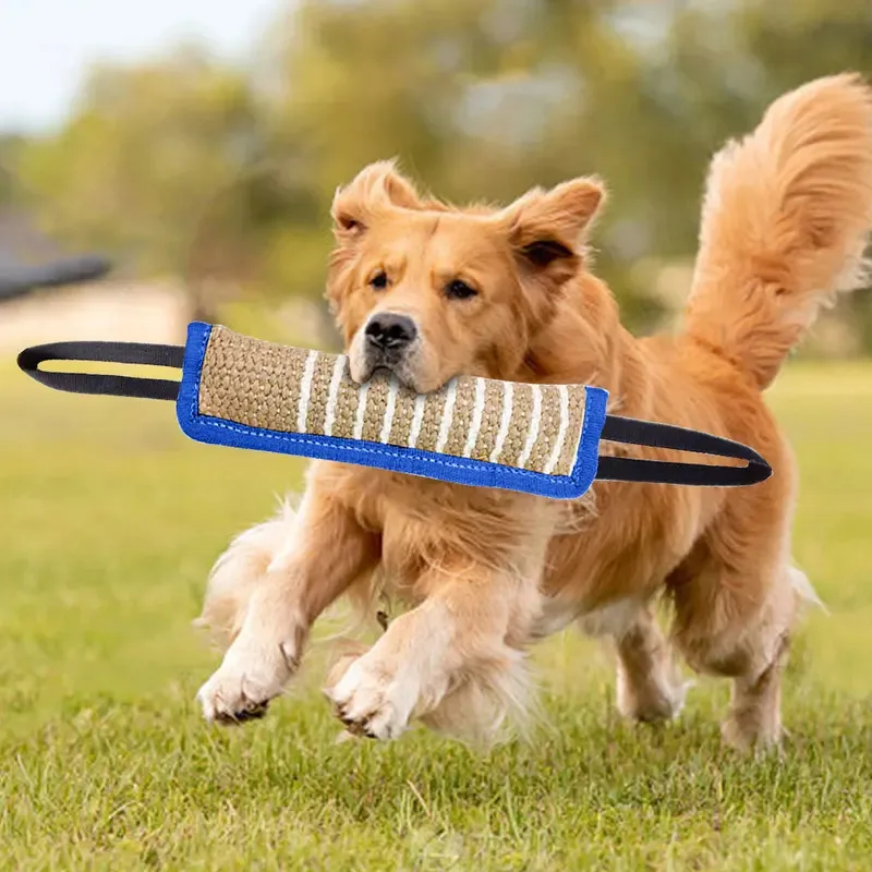 Productos de entrenamiento para perros, varillas para morder perros Jaoseko, rechinar los dientes, palo, suministros para mascotas con objetivo para morder, juguetes para perros con palo - imagen 4