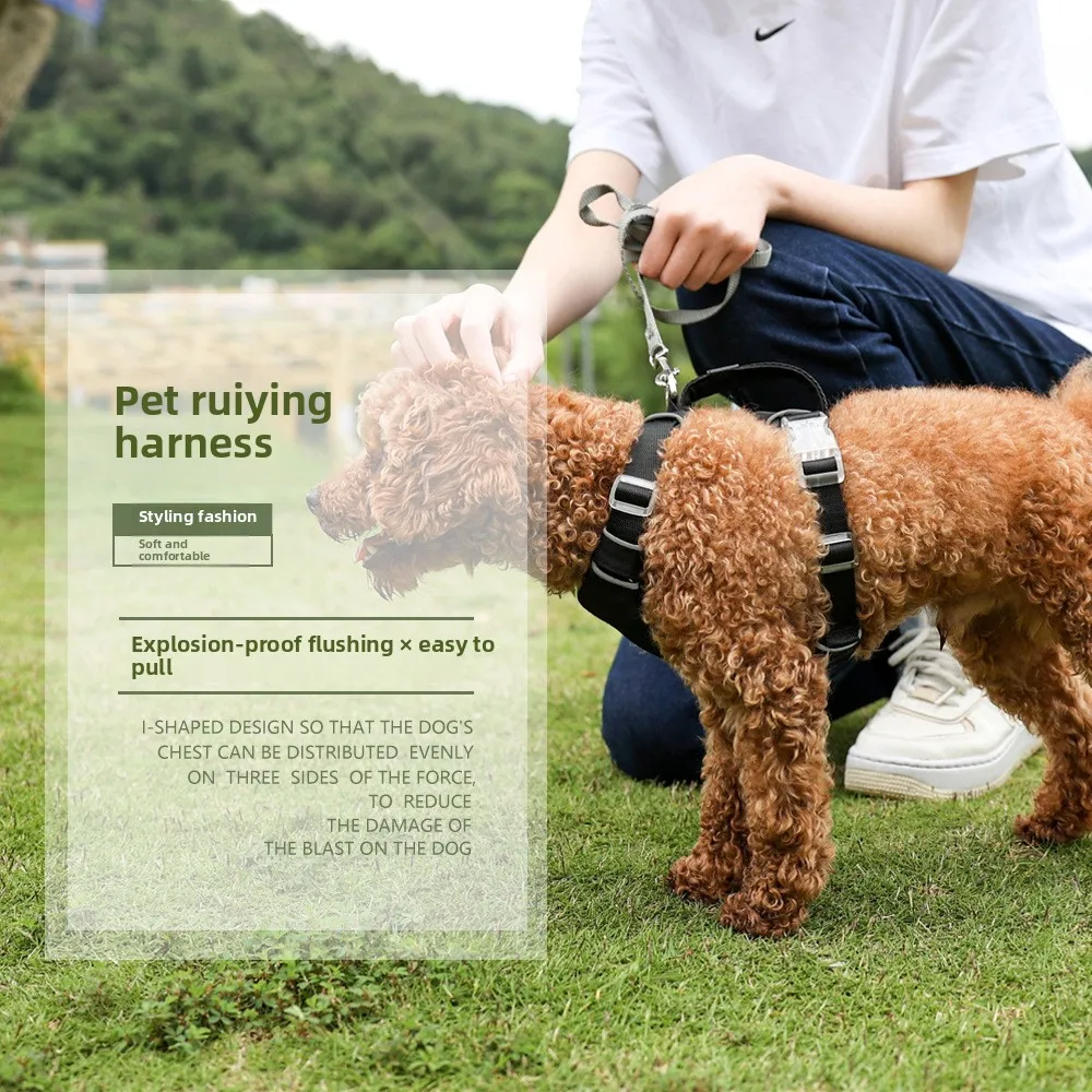 Nuevo Arnés para mascotas con mango Vertical, chaleco reflectante impermeable para perros - imagen 3