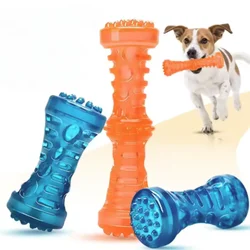 Juguete masticación perro cepillo dental resistente para higiene bucal